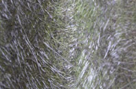 Tylers Causeway fibreglass roof work